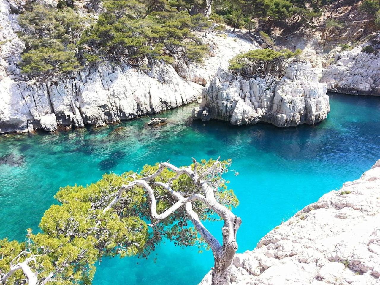 Villa Mathaia Cassis ロックフォール・ラ・ベドゥール エクステリア 写真